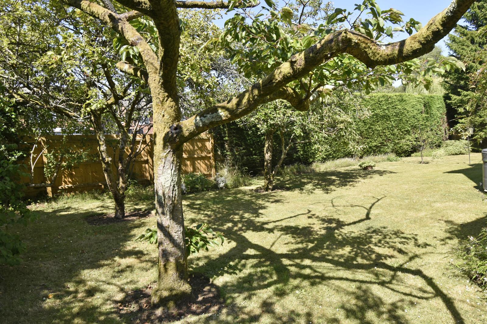 A GARDEN 2 NEW.JPG